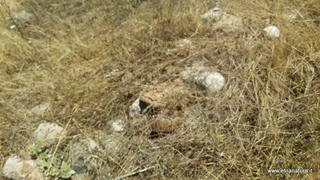 Castellito